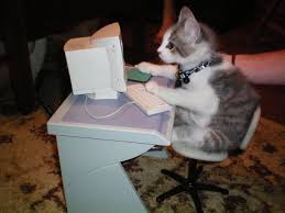 Cat on a Computer